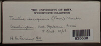 Image Associated With the Occurence